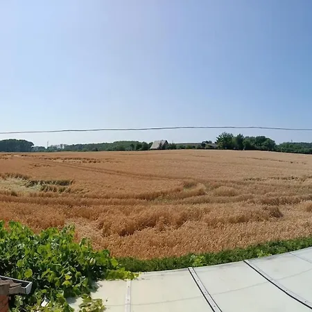 Lovely In With Separate Entrance アパート エルデ