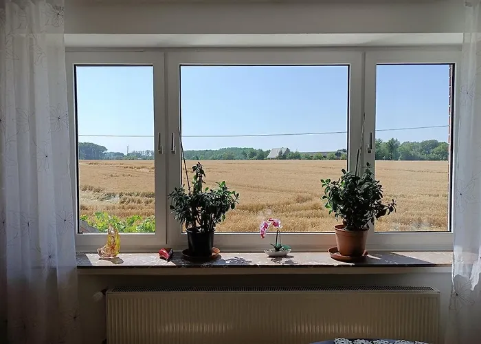 Lovely In With Separate Entrance